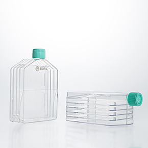 多層細胞培養(yǎng)瓶,多層培養(yǎng)瓶,三層培養(yǎng)瓶,五層培養(yǎng)瓶