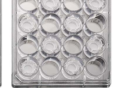 配有清晰的數(shù)字孔標(biāo)識(shí)，便于區(qū)分識(shí)別，方便記錄